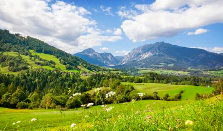 Landschaftliche und kulinarische Höhepunkte der Steiermark