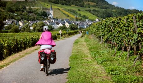 Die schönsten Radwege  rund um die Mosel und die Eifel