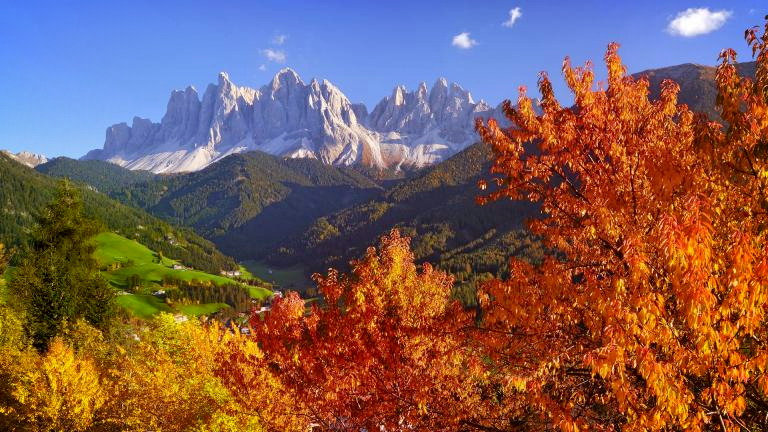 Titelbild für Gaudi, Musik und Törggelen  in Südtirol